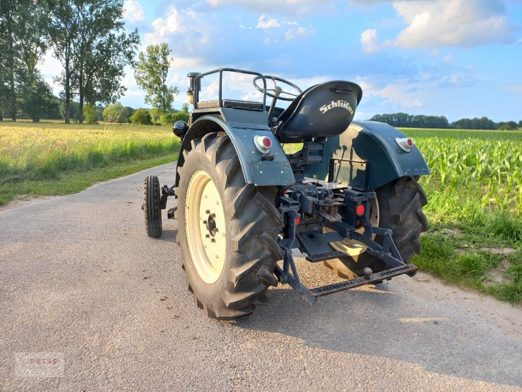 Traktor typu Schlüter AS22C, Gebrauchtmaschine w Lippetal / Herzfeld (Zdjęcie 5)