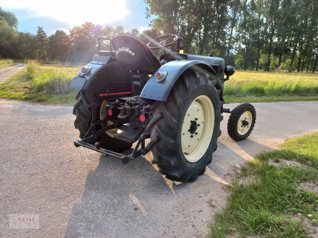 Traktor of the type Schlüter AS22C, Gebrauchtmaschine in Lippetal / Herzfeld (Picture 7)