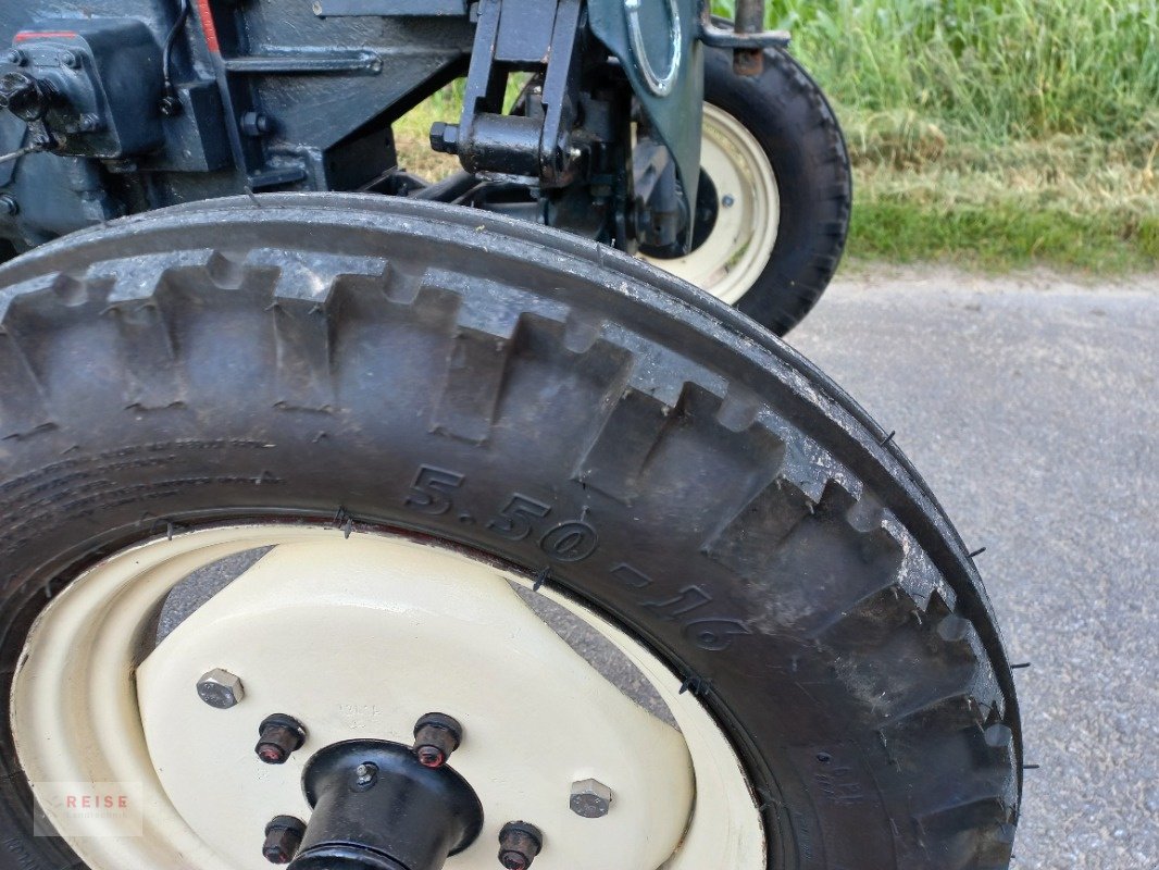 Traktor of the type Schlüter AS22C, Gebrauchtmaschine in Lippetal / Herzfeld (Picture 14)