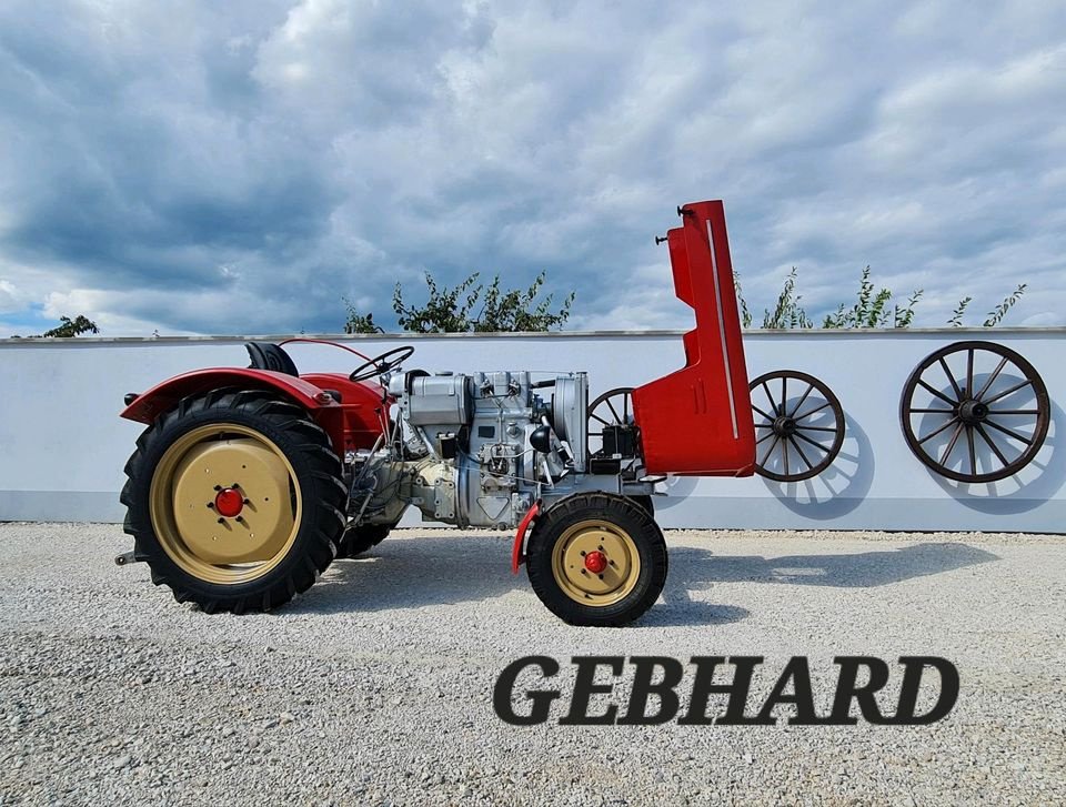 Traktor des Typs Schlüter S 30 Oldtimer Bulldog 32 PS SF 303B, Gebrauchtmaschine in Großschönbrunn (Bild 2)