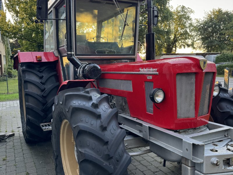 Traktor des Typs Schlüter SF 6950 Vs, Gebrauchtmaschine in Saterland (Bild 1)