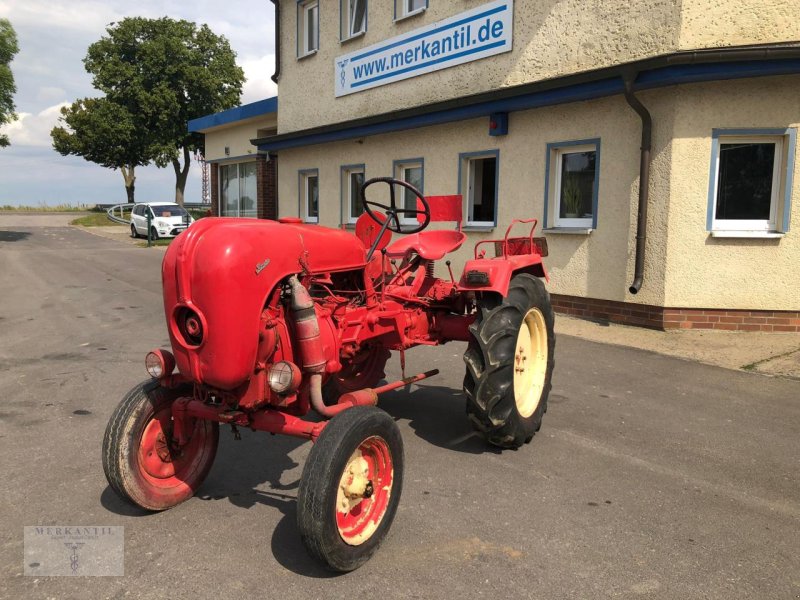 Traktor typu Sonstige Allgaier / Porsche A111, Gebrauchtmaschine v Pragsdorf (Obrázek 1)