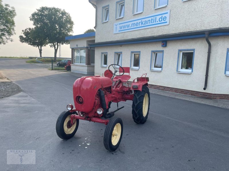 Traktor типа Sonstige Allgaier / Porsche A111, Gebrauchtmaschine в Pragsdorf