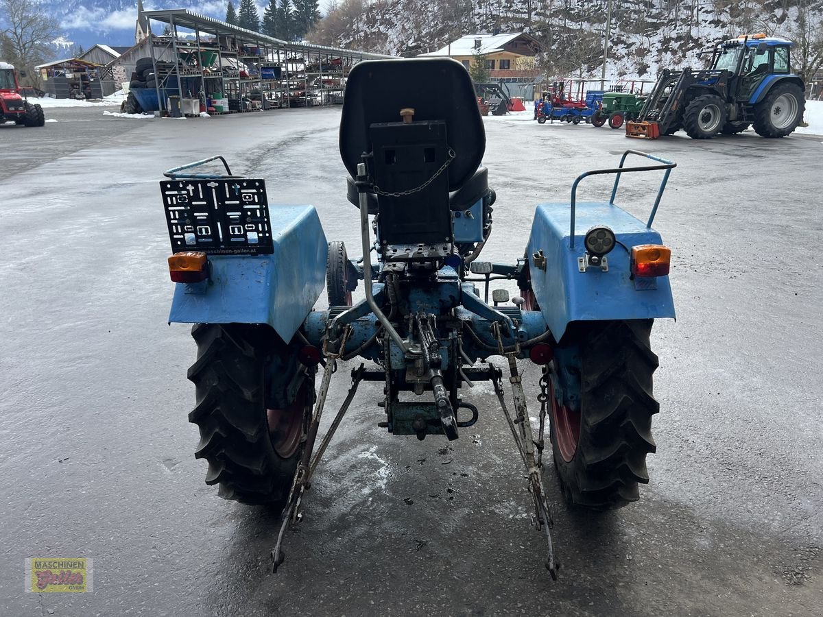 Traktor typu Sonstige WT 20, Gebrauchtmaschine v Kötschach (Obrázok 8)