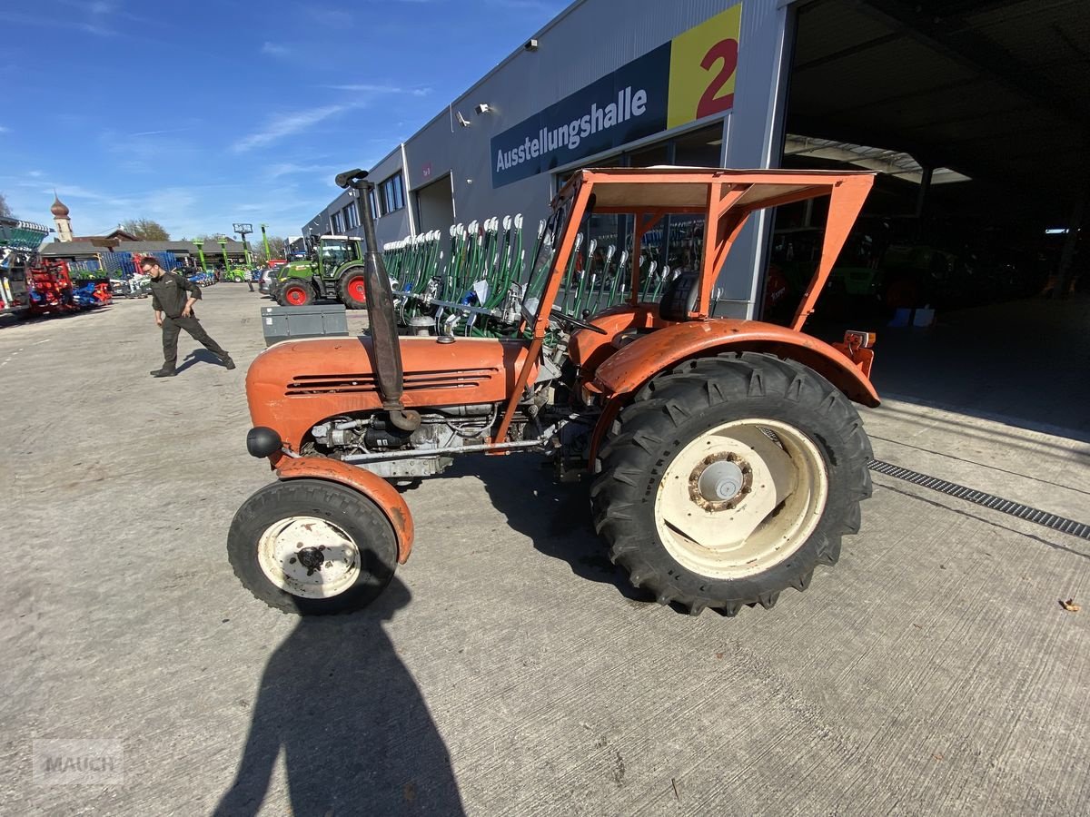 Traktor a típus Steyr 190, Gebrauchtmaschine ekkor: Burgkirchen (Kép 12)