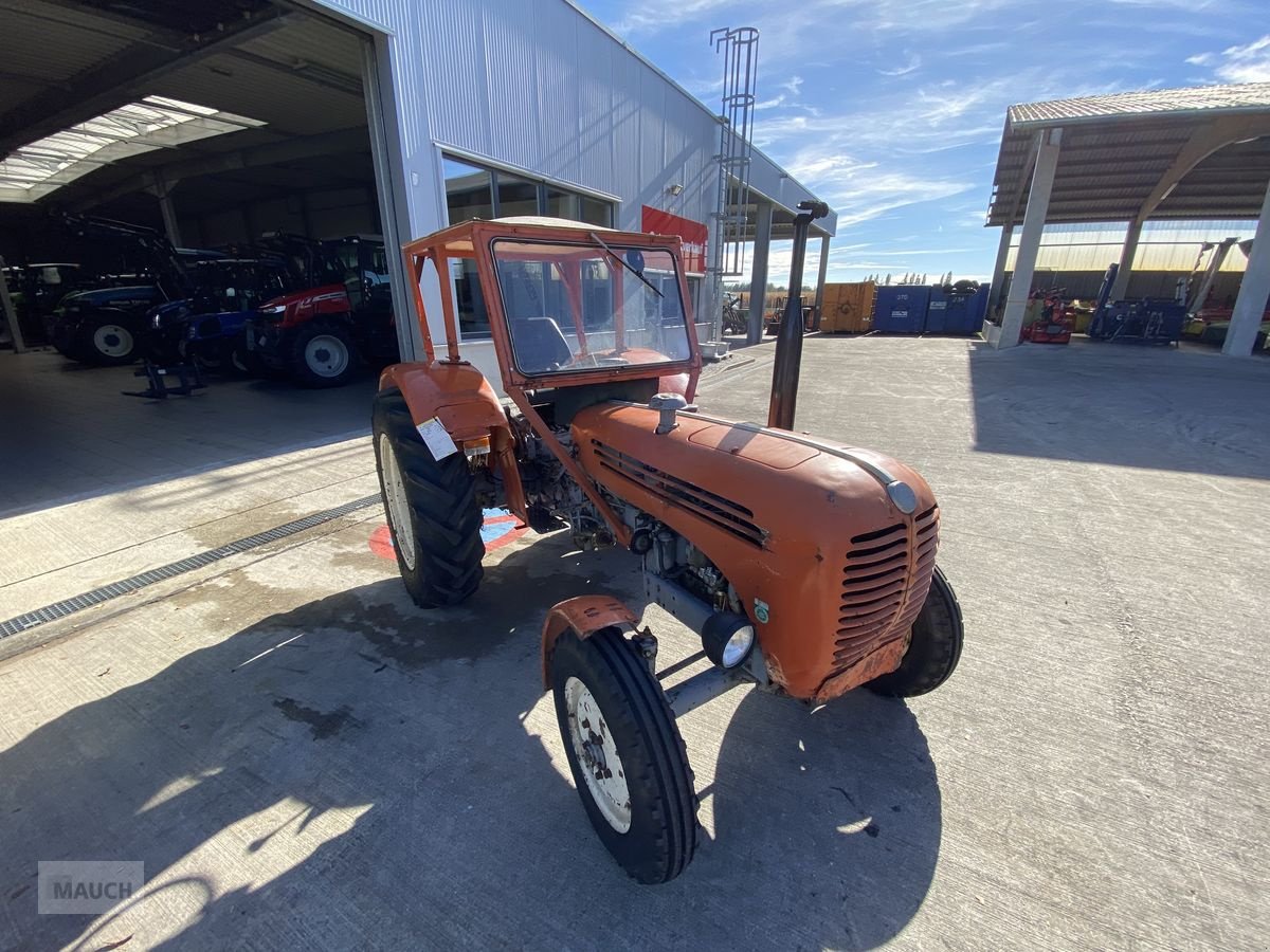 Traktor del tipo Steyr 190, Gebrauchtmaschine en Burgkirchen (Imagen 5)