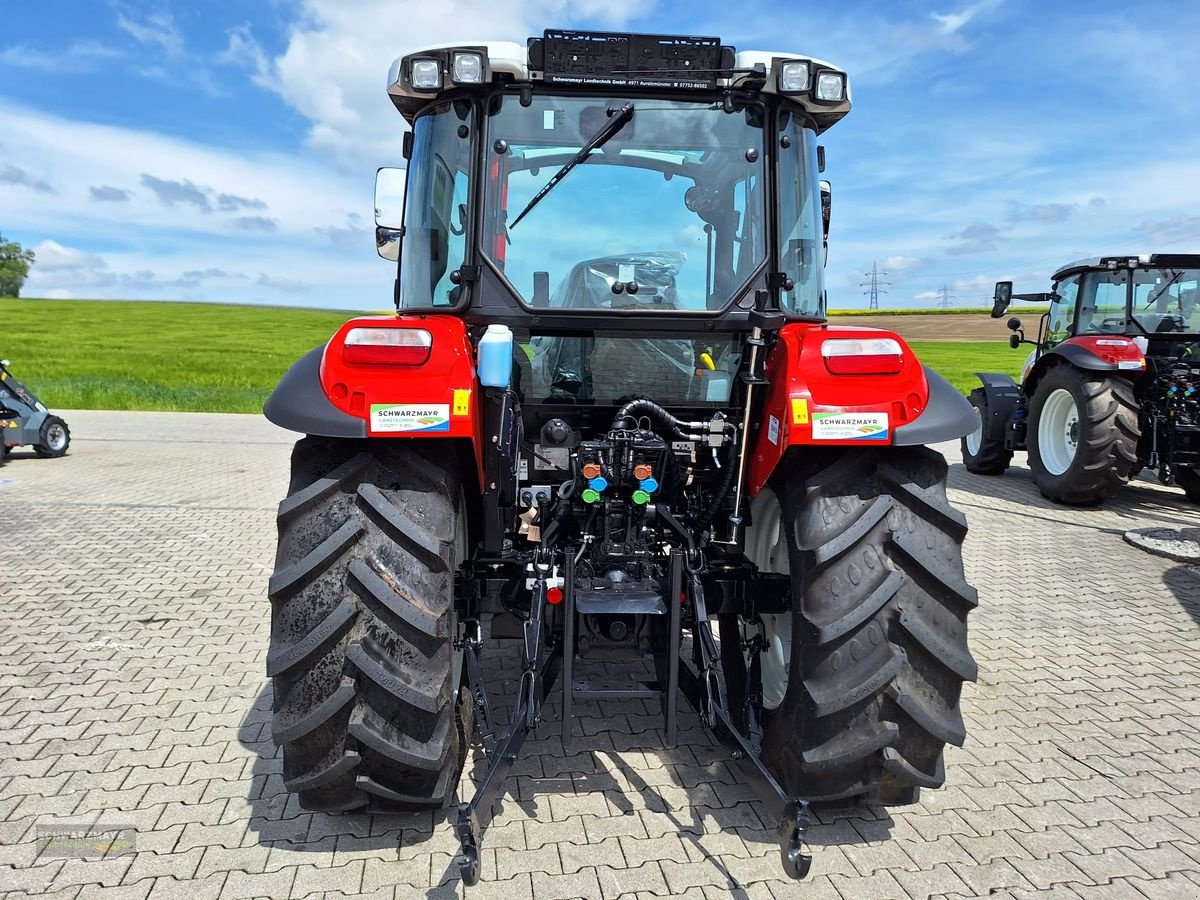 Traktor del tipo Steyr 4065 Kompakt S (Stage V), Neumaschine In Aurolzmünster (Immagine 4)