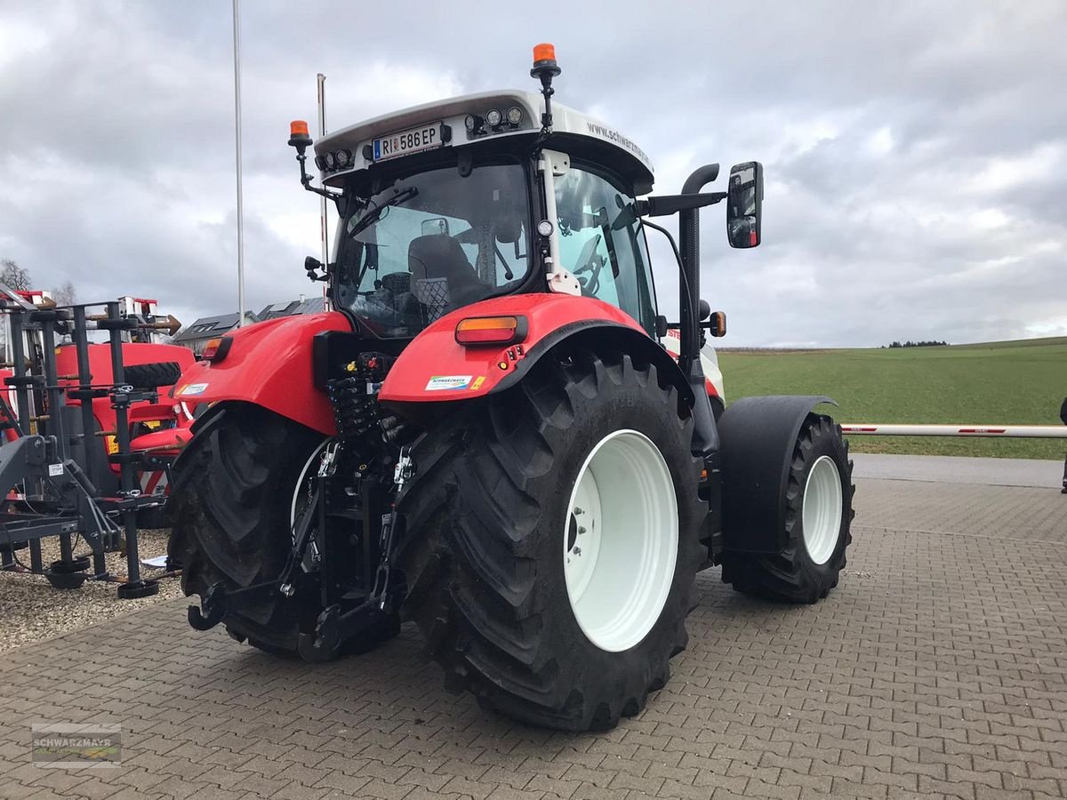 Traktor del tipo Steyr 6150 Profi CVT (Stage V), Vorführmaschine en Aurolzmünster (Imagen 3)