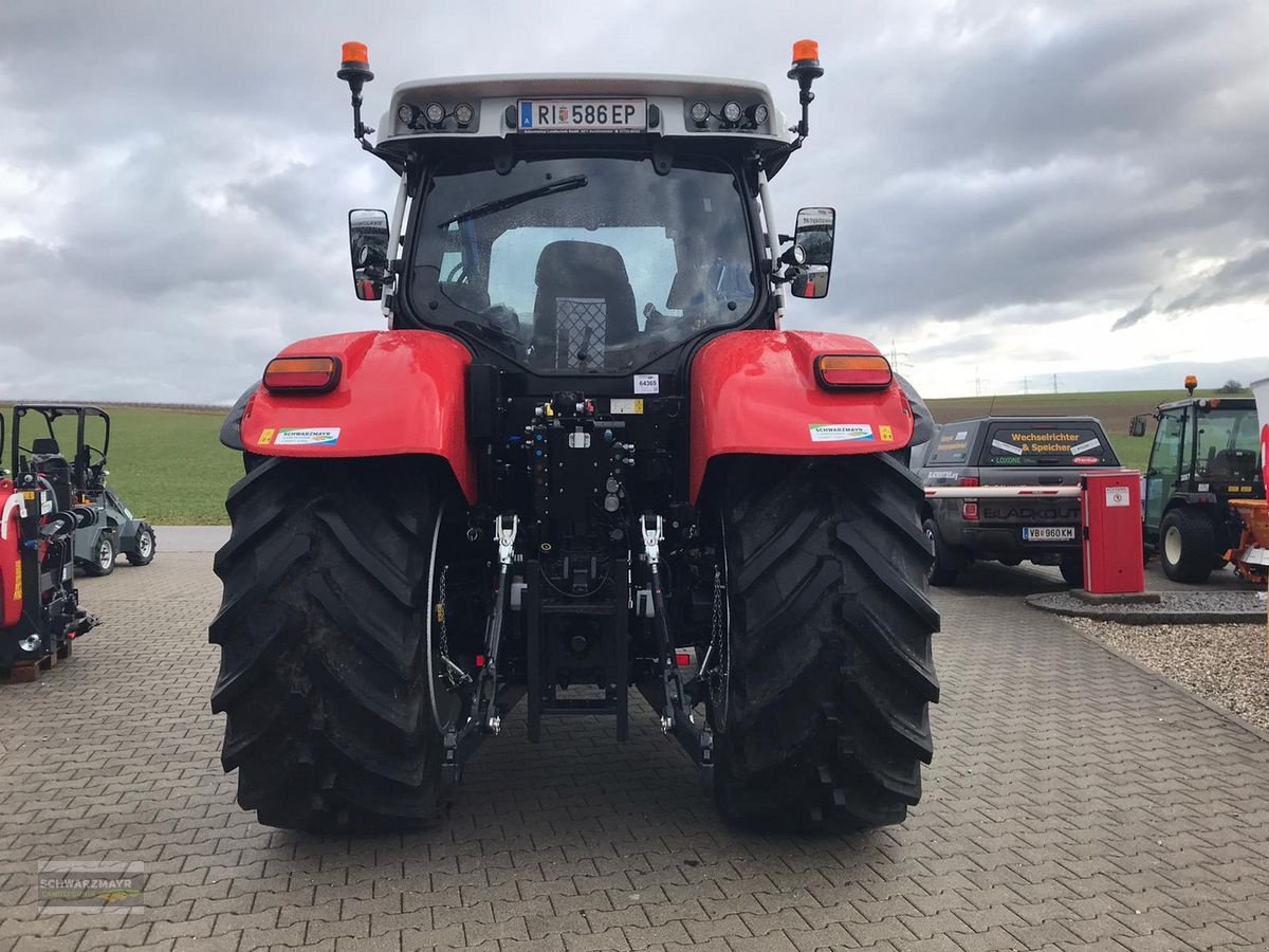 Traktor del tipo Steyr 6150 Profi CVT (Stage V), Vorführmaschine en Aurolzmünster (Imagen 4)