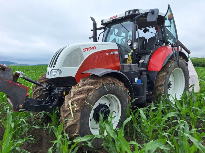 Traktor tip Steyr 6165 CVT Hi-eSCR Profi, Gebrauchtmaschine in Traberg