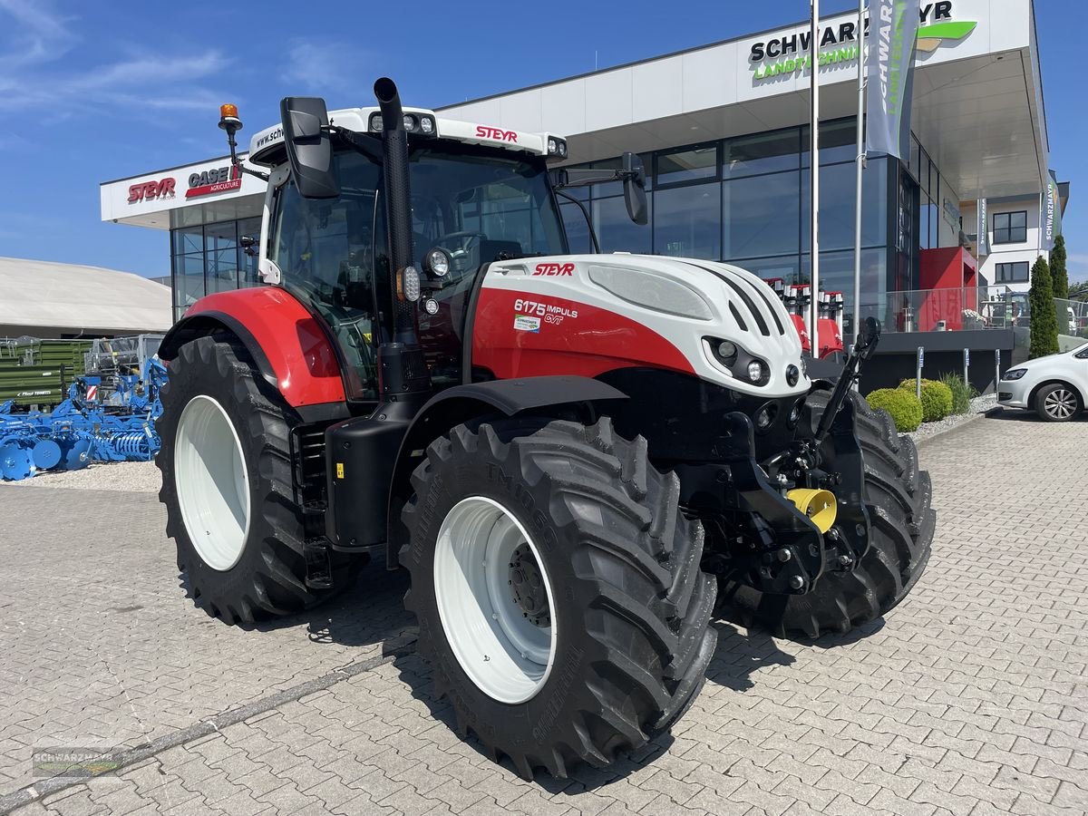 Traktor of the type Steyr 6175 Impuls CVT, Vorführmaschine in Aurolzmünster (Picture 1)