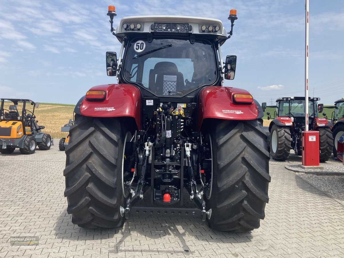 Traktor van het type Steyr 6175 Impuls CVT, Mietmaschine in Aurolzmünster (Foto 3)