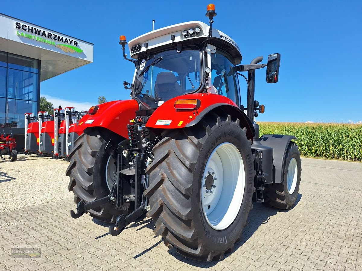 Traktor of the type Steyr 6175 Impuls CVT, Neumaschine in Aurolzmünster (Picture 5)