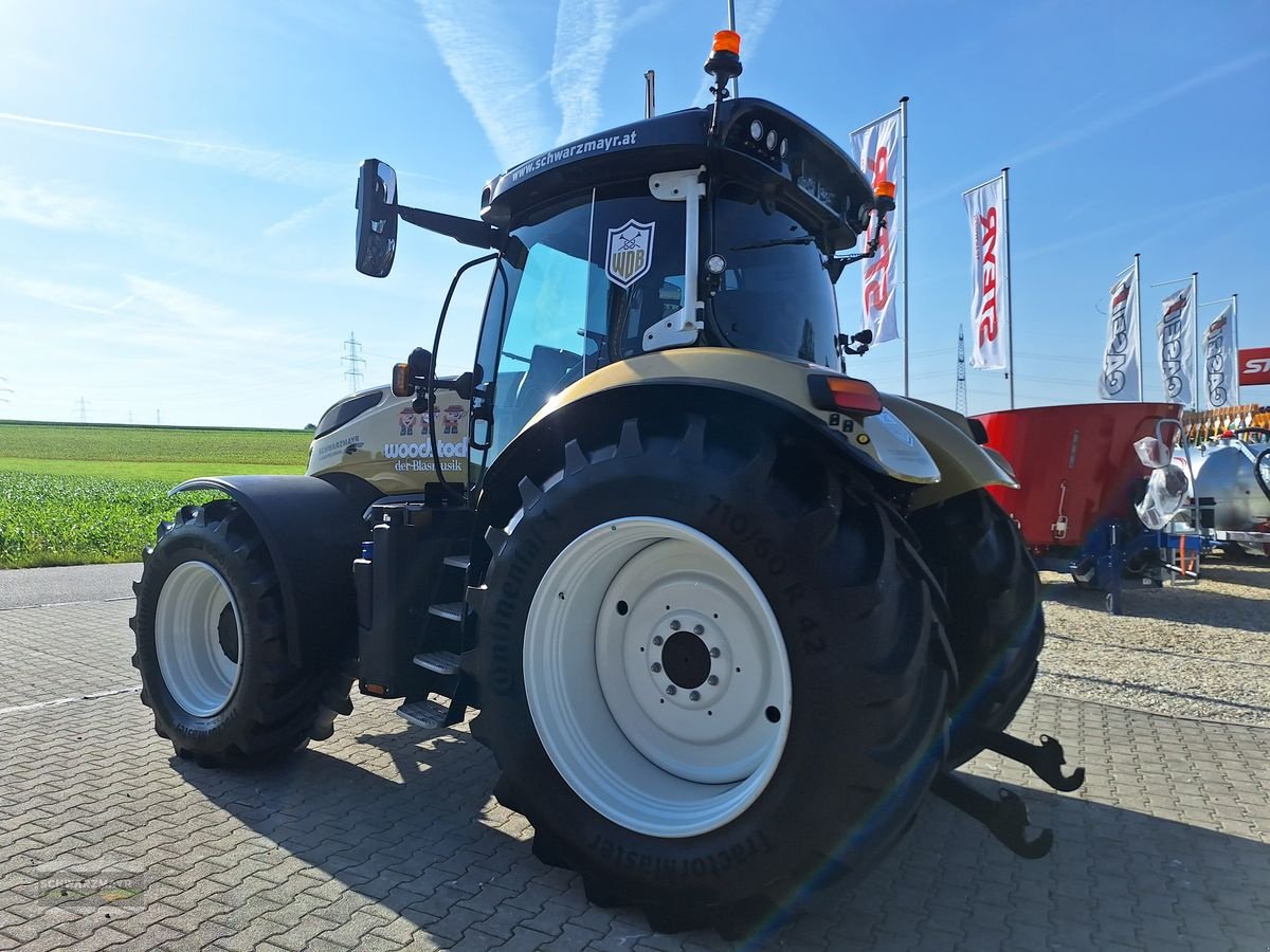 Traktor van het type Steyr 6175 Impuls CVT, Neumaschine in Gampern (Foto 5)