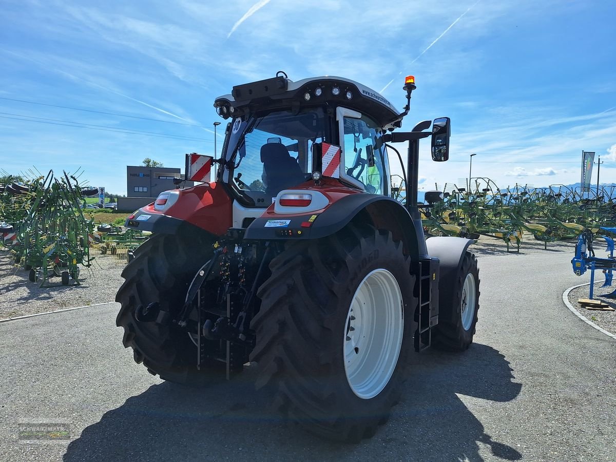 Traktor a típus Steyr 6240 Absolut CVT, Mietmaschine ekkor: Gampern (Kép 4)