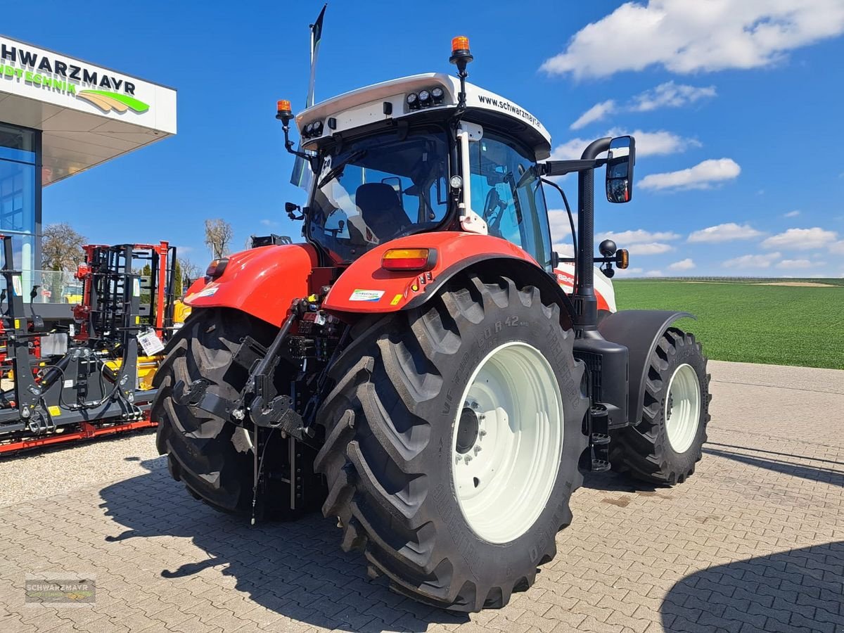 Traktor del tipo Steyr 6240 Absolut CVT, Mietmaschine en Gampern (Imagen 3)