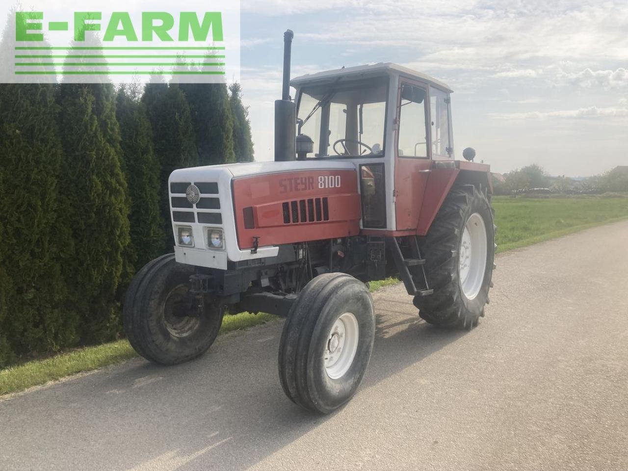 Traktor tipa Steyr 8100, Gebrauchtmaschine u Limberg (Slika 5)