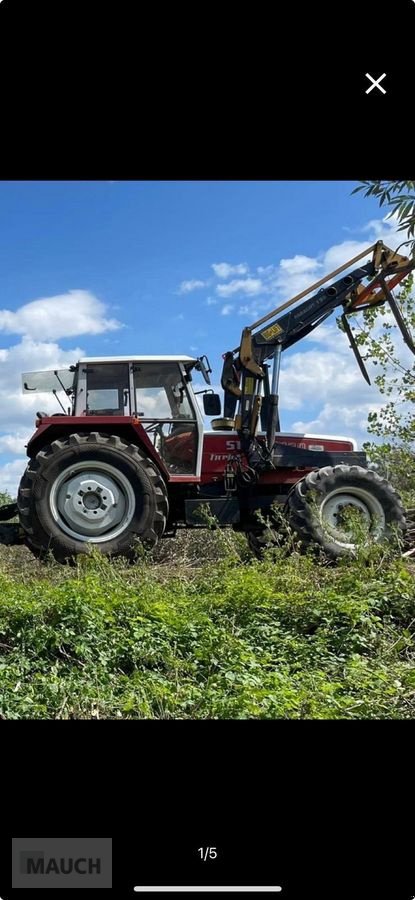 Traktor του τύπου Steyr 8130 SK1, Gebrauchtmaschine σε Burgkirchen (Φωτογραφία 3)