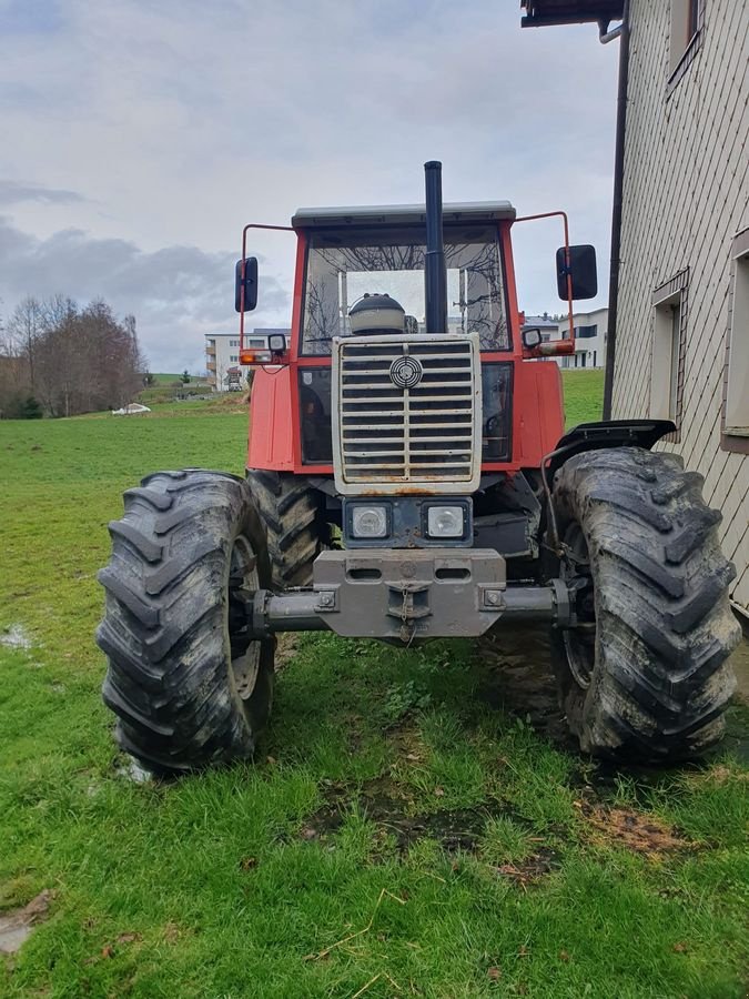 Traktor des Typs Steyr 8150 A T SK 2, Gebrauchtmaschine in NATTERNBACH (Bild 3)