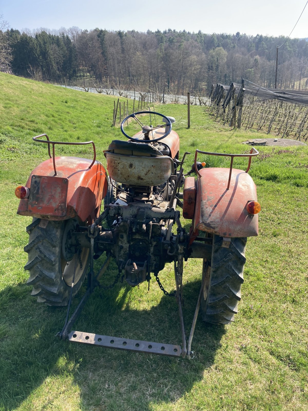 Traktor του τύπου Steyr 86, Gebrauchtmaschine σε Großsteinbach (Φωτογραφία 3)