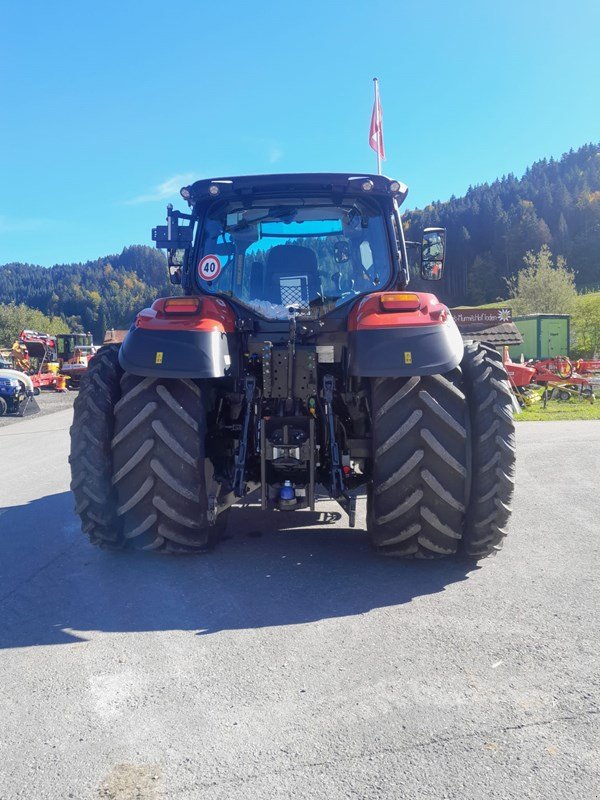 Traktor van het type Steyr Expert 4130 CVT, Ausstellungsmaschine in Egg (Foto 2)