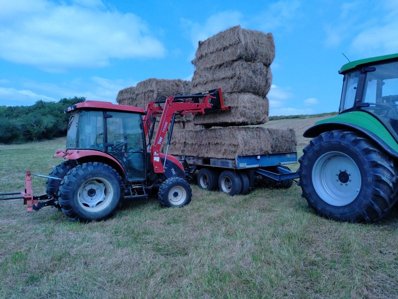 Traktor a típus TYM T555 HST, Neumaschine ekkor: Eksaarde-Lokeren (Kép 4)