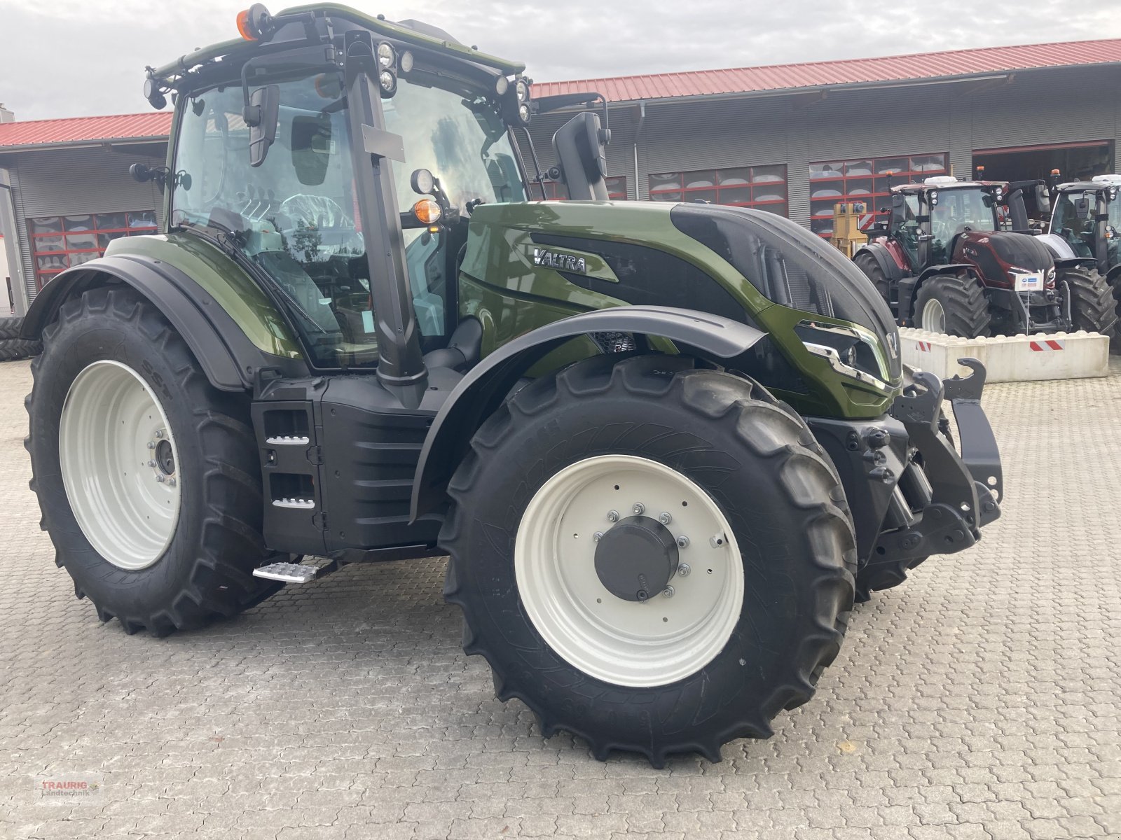 Traktor del tipo Valtra T 175 A Forst mit Rüfa, Neumaschine en Mainburg/Wambach (Imagen 12)