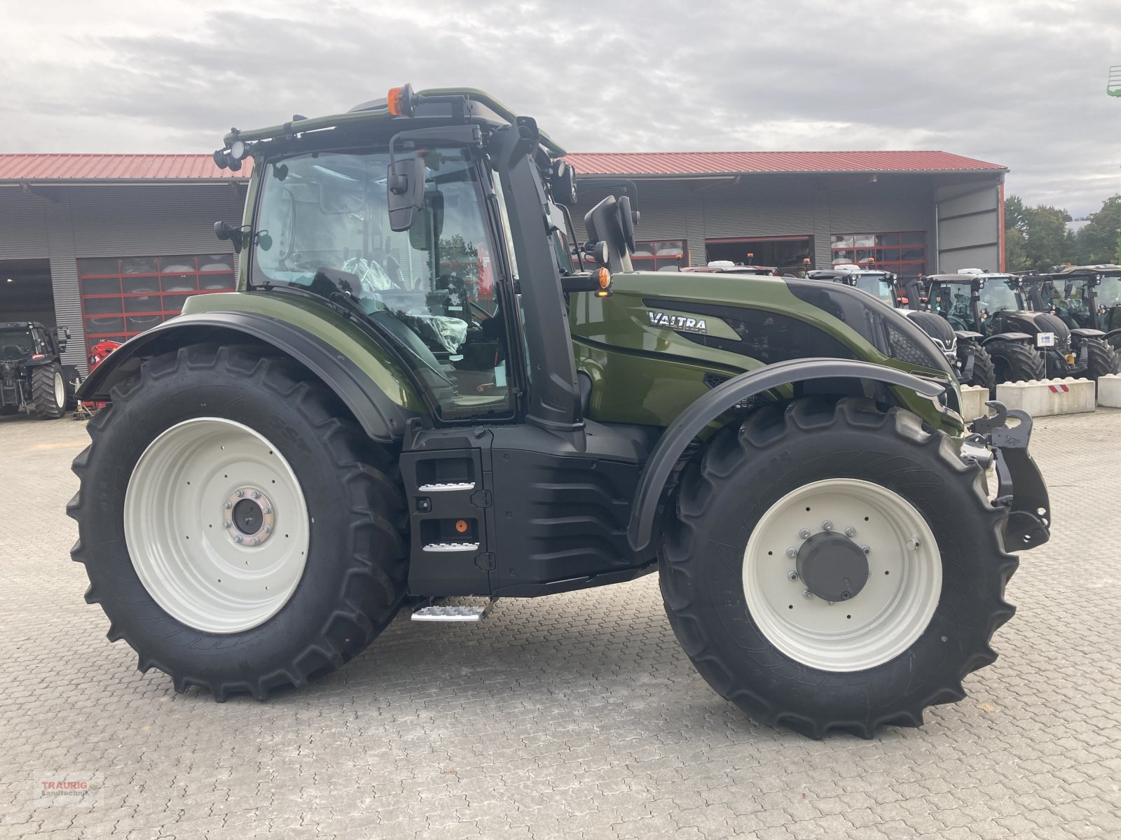 Traktor del tipo Valtra T 175 A Forst mit Rüfa, Neumaschine en Mainburg/Wambach (Imagen 13)