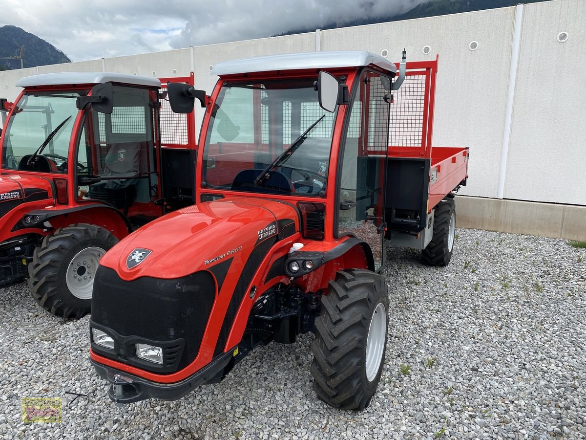 Transportfahrzeug del tipo Antonio Carraro TIGRECAR 6800, Neumaschine In Kötschach (Immagine 1)