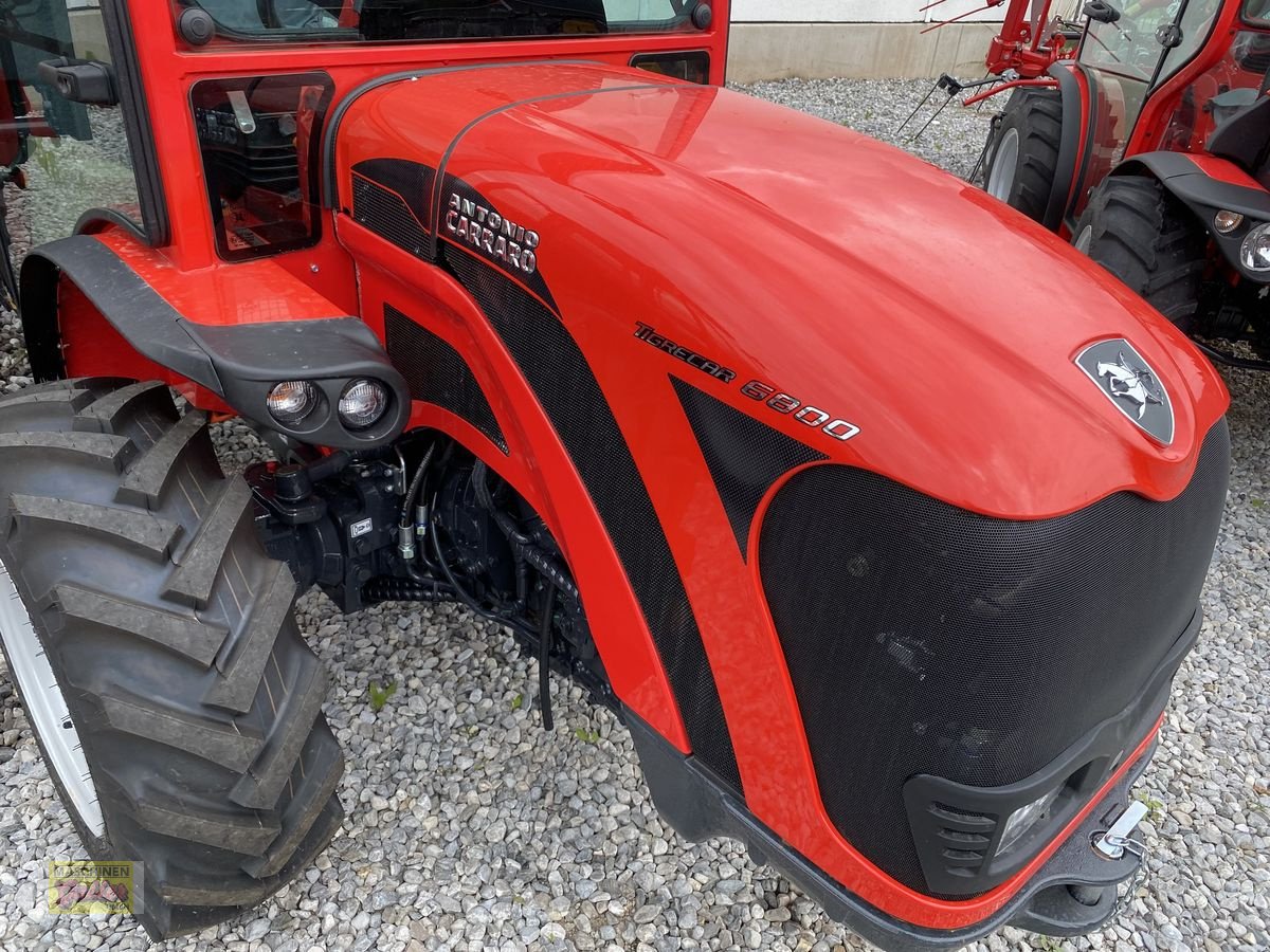 Transportfahrzeug van het type Antonio Carraro TIGRECAR 6800, Neumaschine in Kötschach (Foto 9)