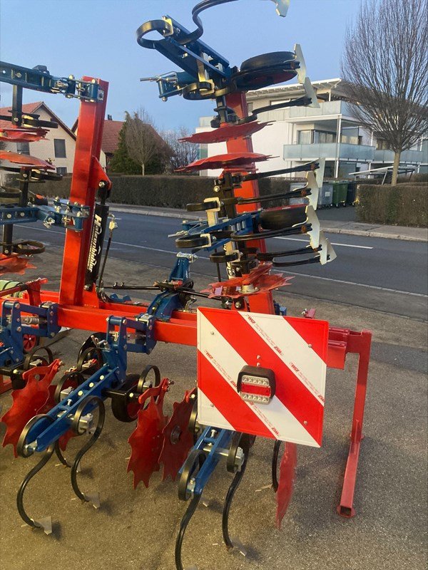 Transportfahrzeug Türe ait Hatzenbichler 6-reihiges Maishackmaschine, Vorführmaschine içinde Regensdorf (resim 3)