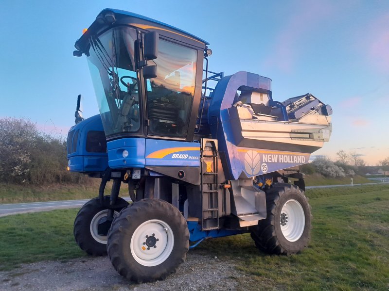 Traubenvollernter a típus New Holland Braud 9080L, Gebrauchtmaschine ekkor: Creglingen (Kép 1)