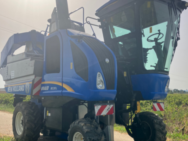 Traubenvollernter του τύπου New Holland MACHINE A VENDANGER 8030, Gebrauchtmaschine σε SAINT ANDIOL (Φωτογραφία 1)