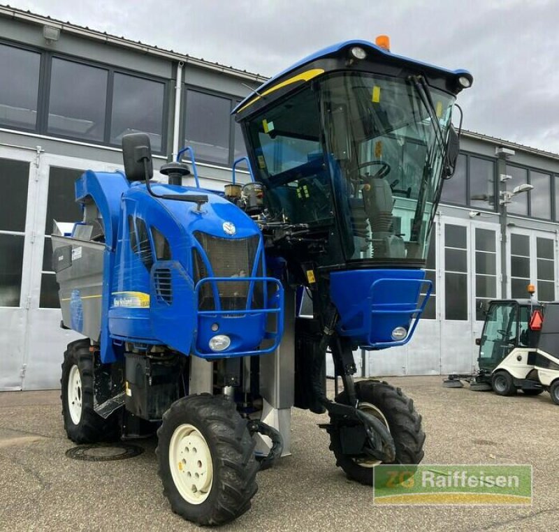 Traubenvollernter Türe ait New Holland VM 3080 Traubenern, Gebrauchtmaschine içinde Bühl (resim 1)