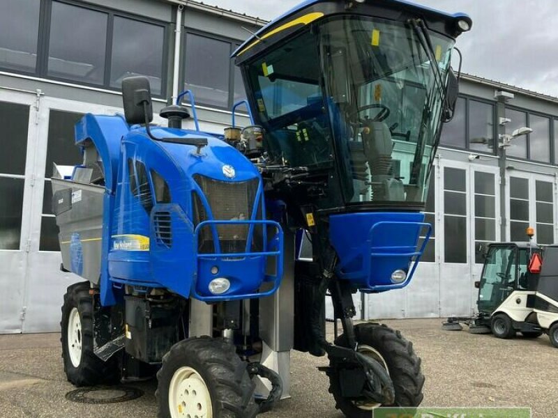 Traubenvollernter tip New Holland VM 3080 Traubenern, Gebrauchtmaschine in Bühl