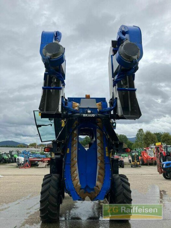 Traubenvollernter Türe ait New Holland VM 3080 Traubenern, Gebrauchtmaschine içinde Bühl (resim 10)