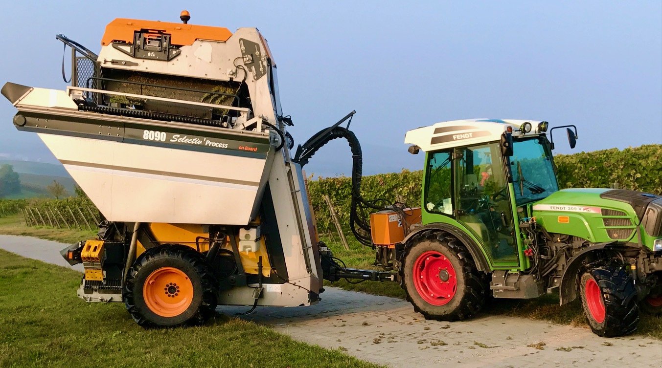 Traubenvollernter of the type Pellenc 8090 SELECTIV PROCESS, Gebrauchtmaschine in Sprendlingen (Picture 2)