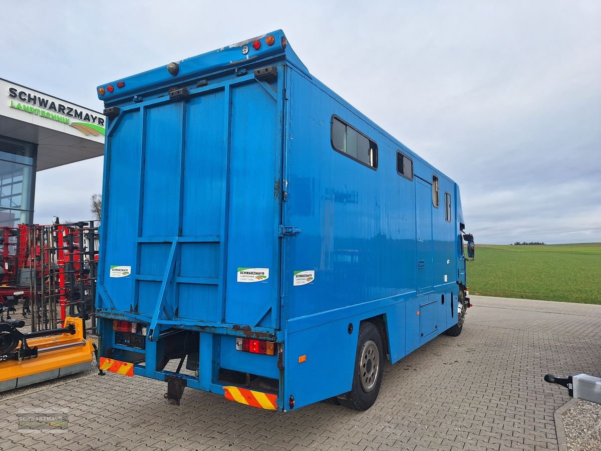 Unimog del tipo Scania 93M 220 Pferdetransporter, Gebrauchtmaschine en Aurolzmünster (Imagen 4)