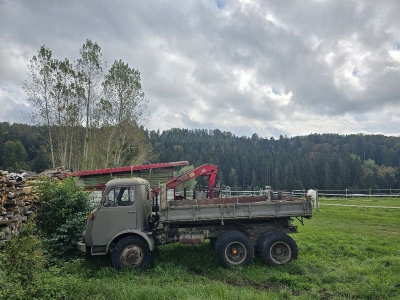 Unimog a típus Steyr 680, Gebrauchtmaschine ekkor: Gabersdorf (Kép 12)