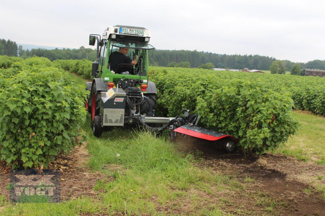 Unterstockmulcher του τύπου DRAGONE CR 65 Fadenmäher für Obst und Weinbau /Reihenkulturen, Neumaschine σε Schmallenberg (Φωτογραφία 4)