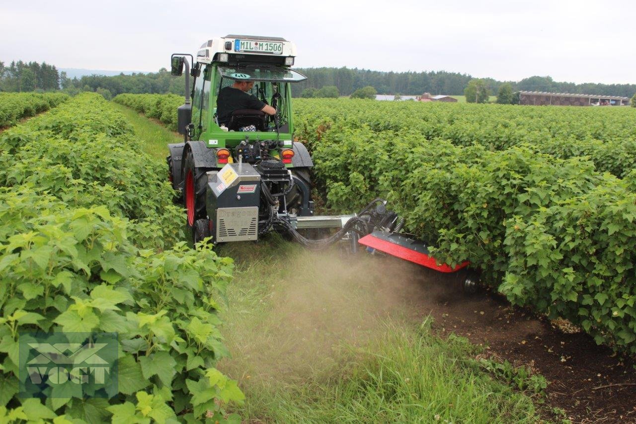 Unterstockmulcher tipa DRAGONE CR 65 Fadenmäher für Obst und Weinbau /Reihenkulturen, Neumaschine u Schmallenberg (Slika 5)