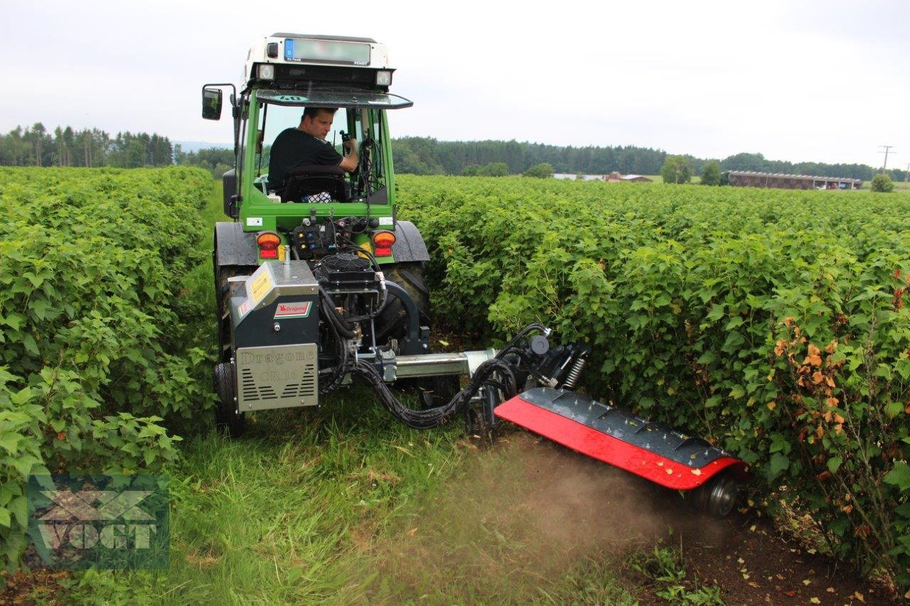 Unterstockmulcher Türe ait DRAGONE CR 65 Fadenmäher für Obst und Weinbau /Reihenkulturen, Neumaschine içinde Schmallenberg (resim 8)