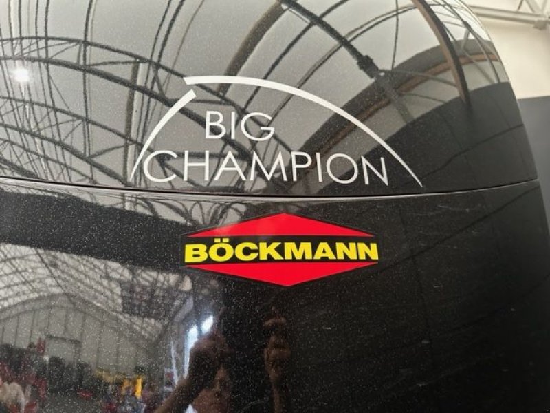 Viehanhänger des Typs Böckmann Pferdeanhänger Big Champion E 3,0to 3,56x1,75m, Neumaschine in Tamsweg (Bild 3)