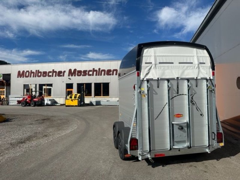 Viehanhänger van het type Böckmann Pferdeanhänger Big Champion SKA 3,50x1,75m 2,7to, Neumaschine in Tamsweg (Foto 10)