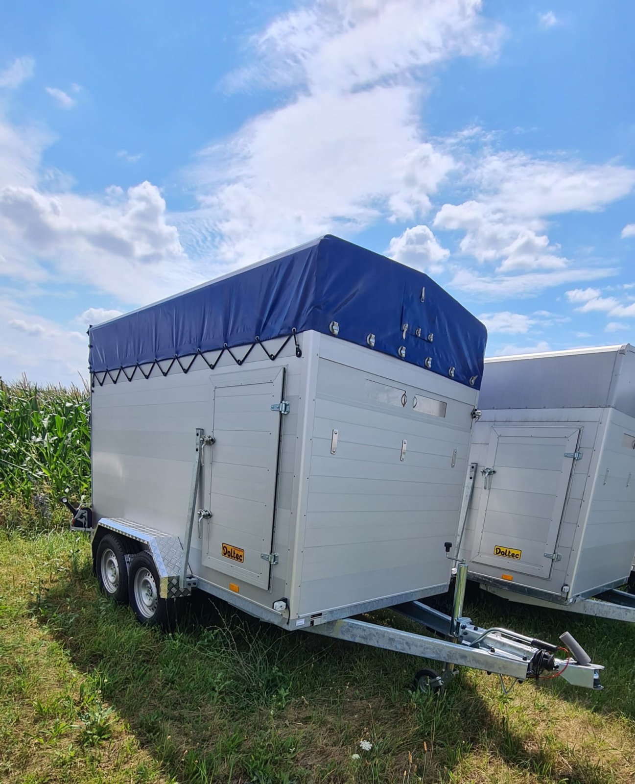 Viehanhänger van het type Daltec VT 2500, Neumaschine in Harmannsdorf (Foto 11)