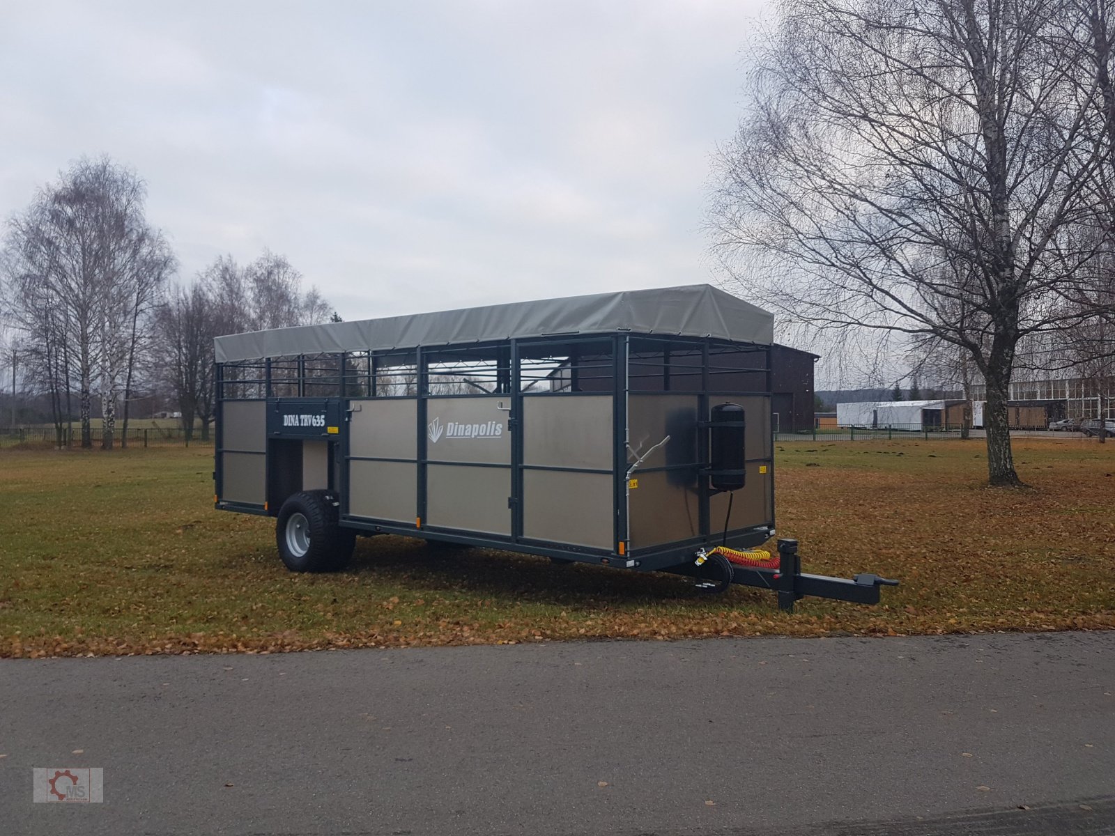 Viehanhänger des Typs Dinapolis TRV Tiertransportwagen Druckluft Hydraulisch absenkbar, Neumaschine in Tiefenbach (Bild 2)