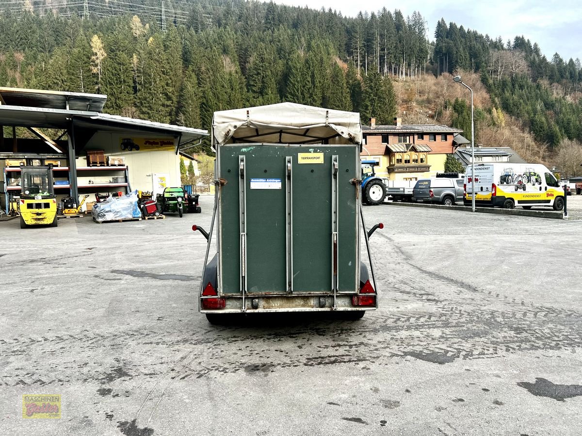 Viehanhänger of the type Humbaur HP 200 Tandem - Viehanhänger, Gebrauchtmaschine in Kötschach (Picture 4)