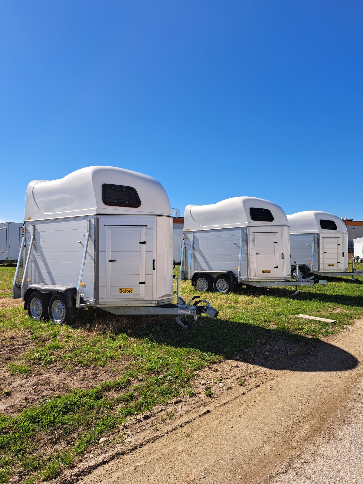 Viehanhänger του τύπου Niewiadów Horse Deluxe, Neumaschine σε Harmannsdorf (Φωτογραφία 16)