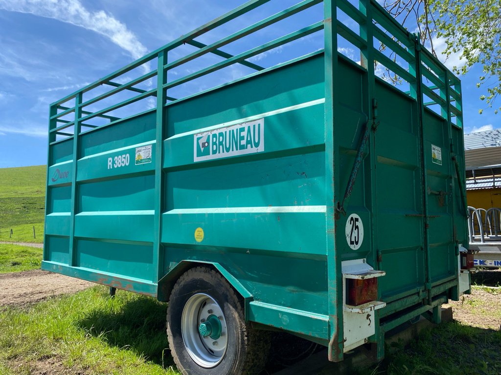 Viehanhänger del tipo Sonstige R3850, Gebrauchtmaschine en SAINT FLOUR (Imagen 11)