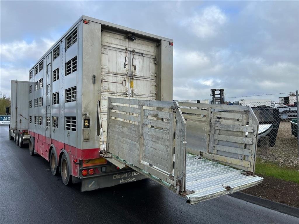 Viehanhänger van het type Sonstige Sonstiges, Gebrauchtmaschine in Christiansfeld (Foto 3)